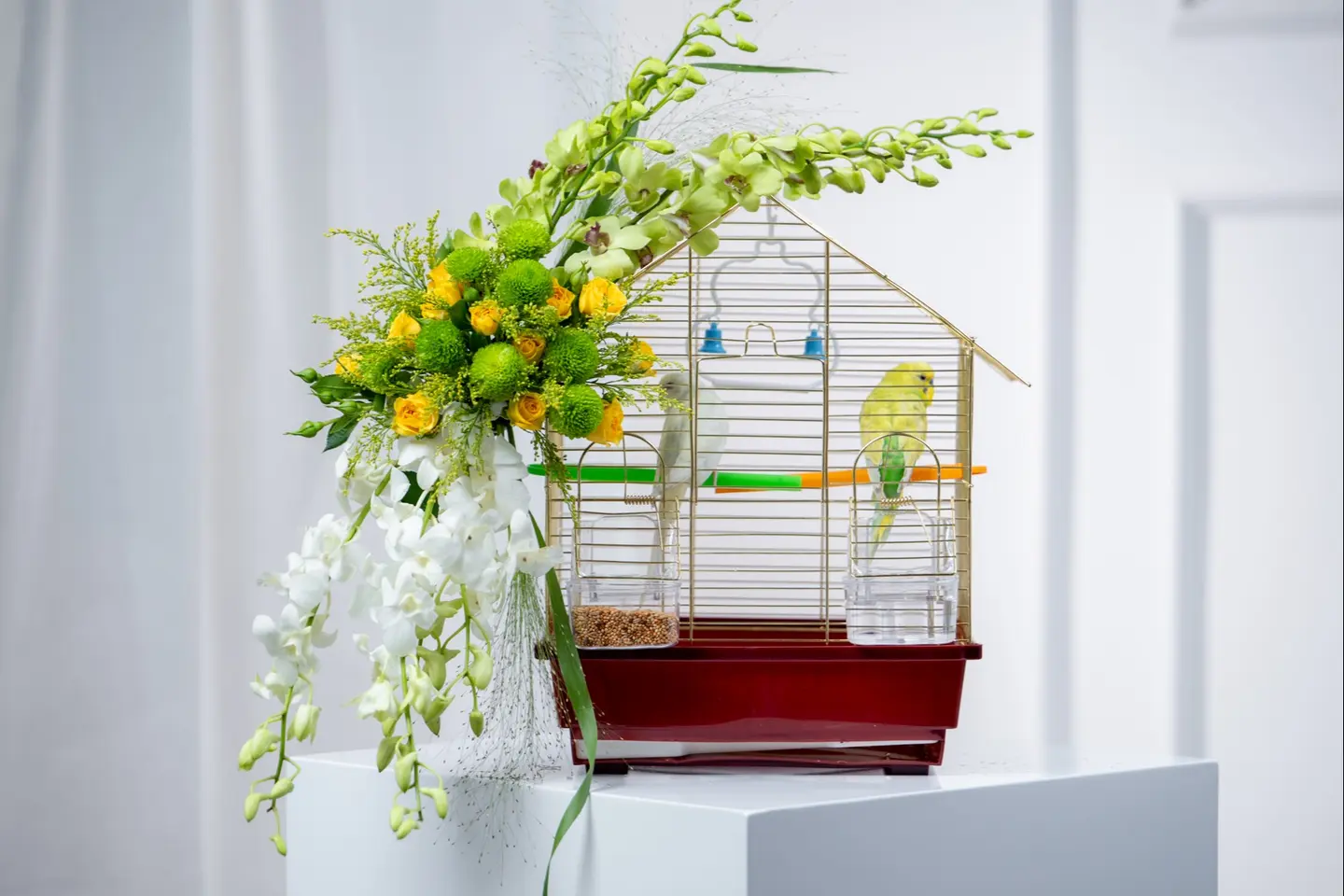 بوكس ورد قفص عصافير الحب – فلاورد فاخر