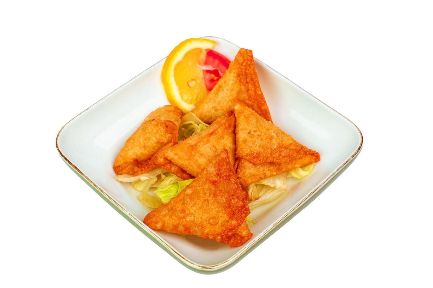 Chicken Samosa