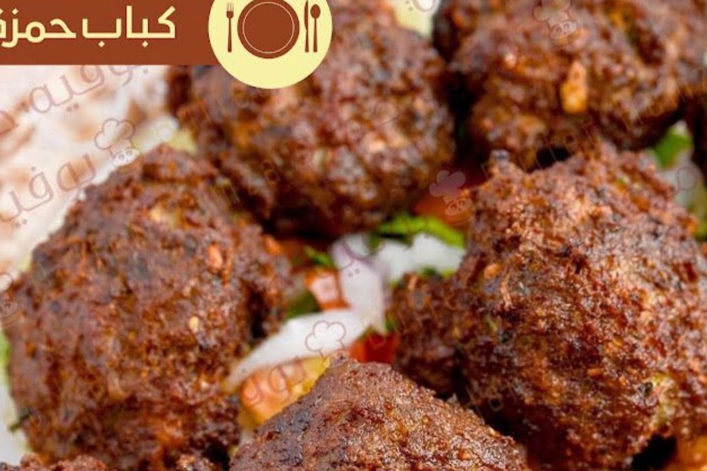 Kebab Hamza