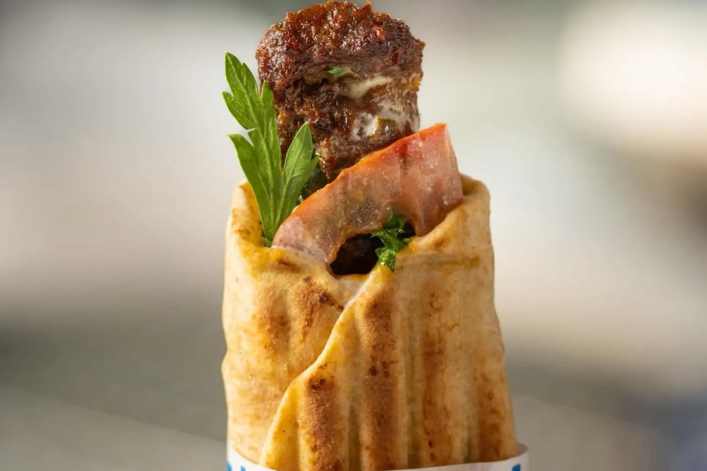 Greek Meat Kebab Sandwich