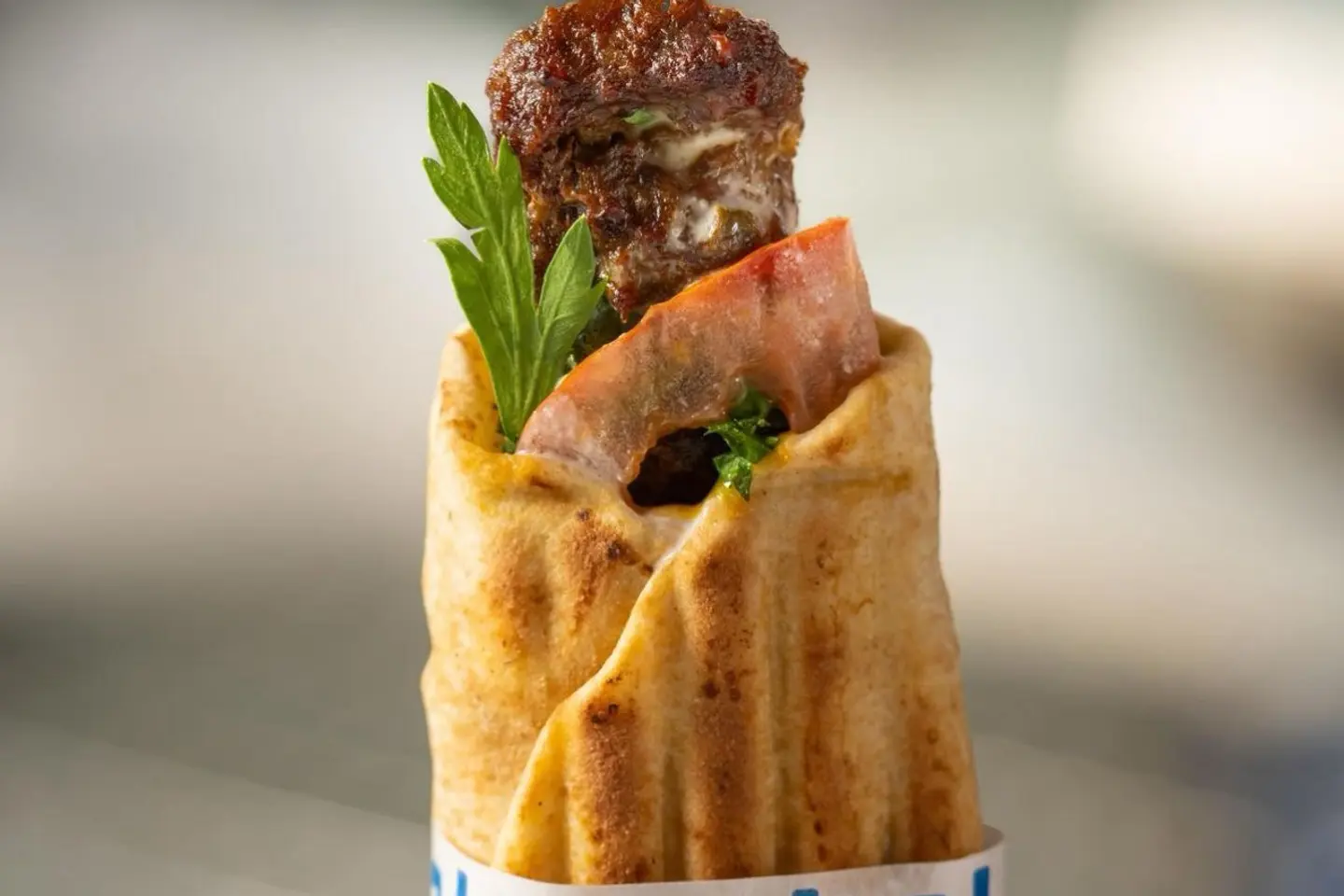 Spicy Meat Kebab