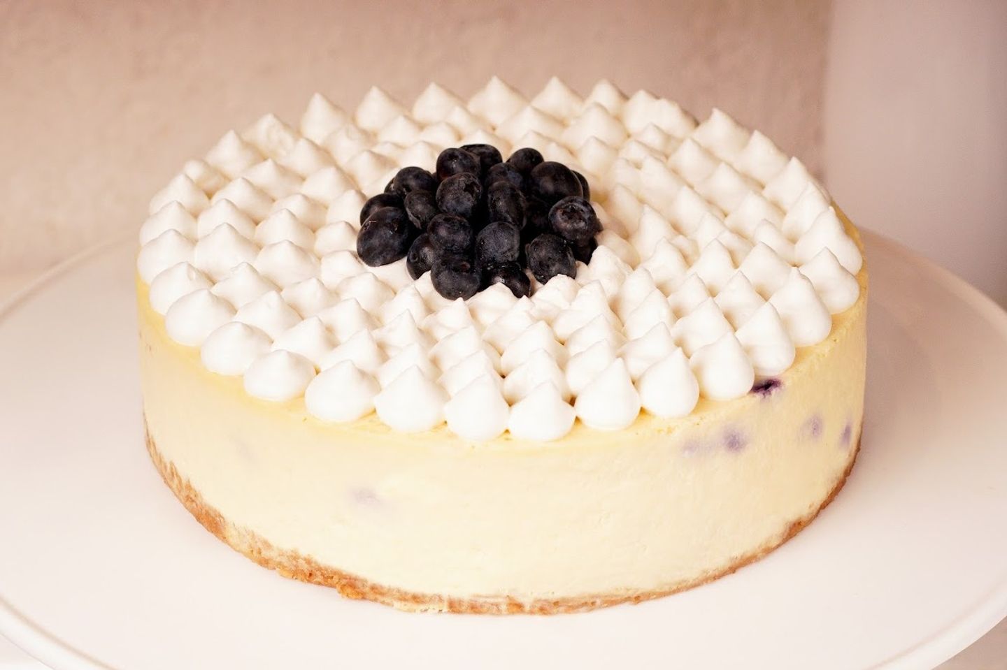 Blueberry Cheese Cake - Blueberry Cheese Cake