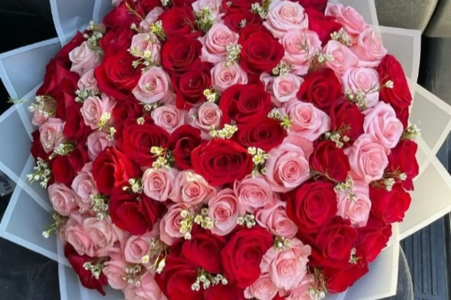 لؤلؤة الورد الأحمر ٥٠