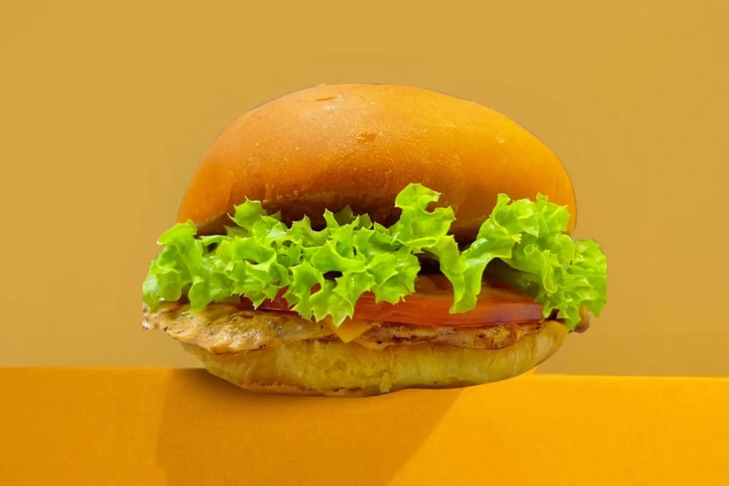 Chicken Burger Single