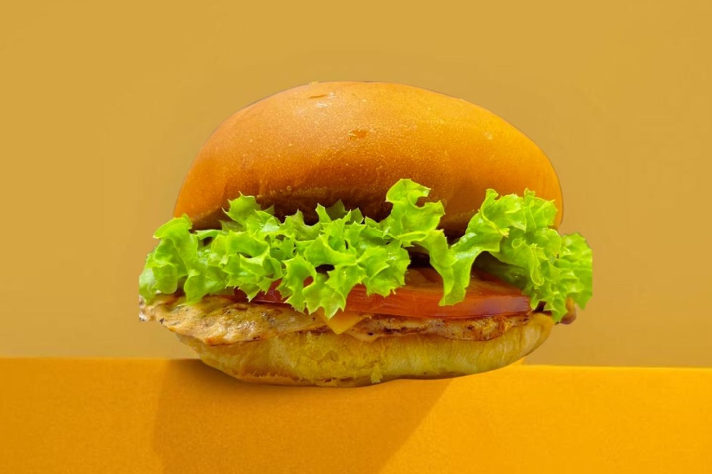Chicken Burger Single