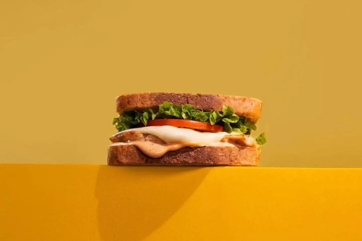 Diet Burger Chicken