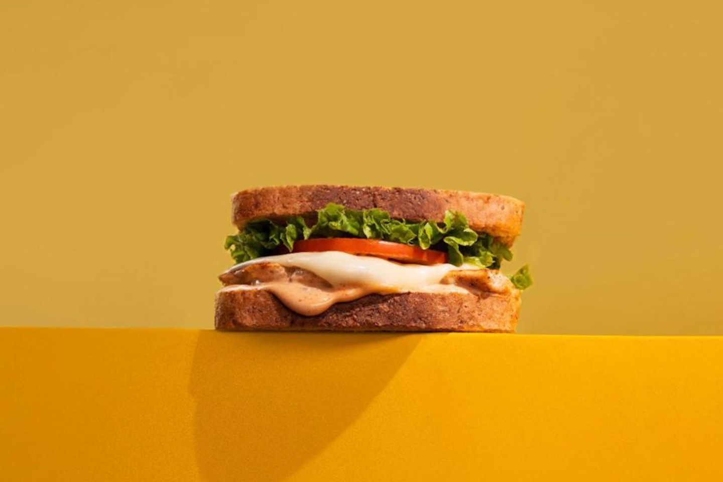 Diet Burger Chicken
