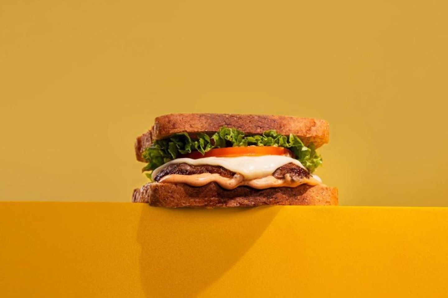 Diet Burger Beef