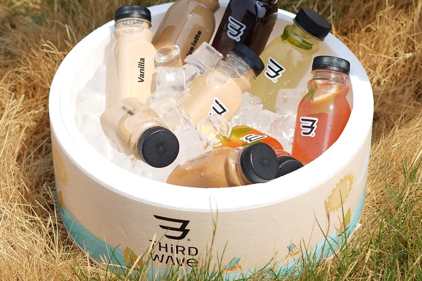 Cold Coffee Box   11 Bottles