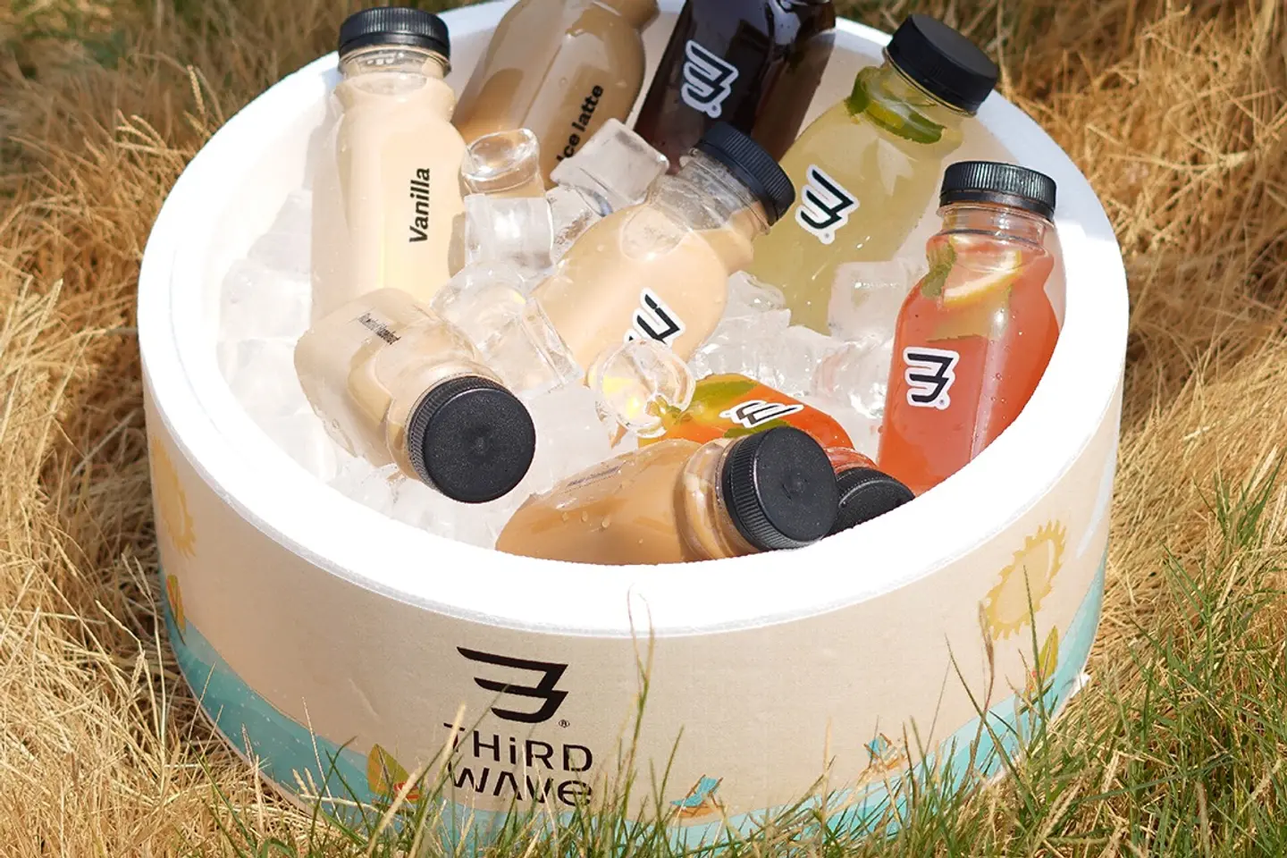 Cold Coffee Box   14 Bottles