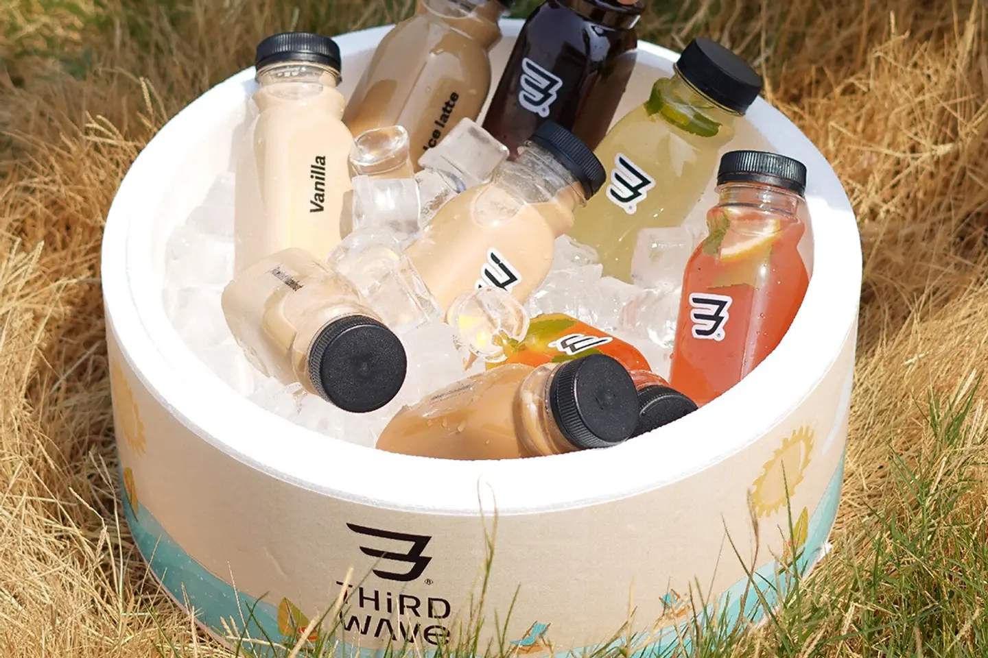 Cold Coffee Box   15 Bottles