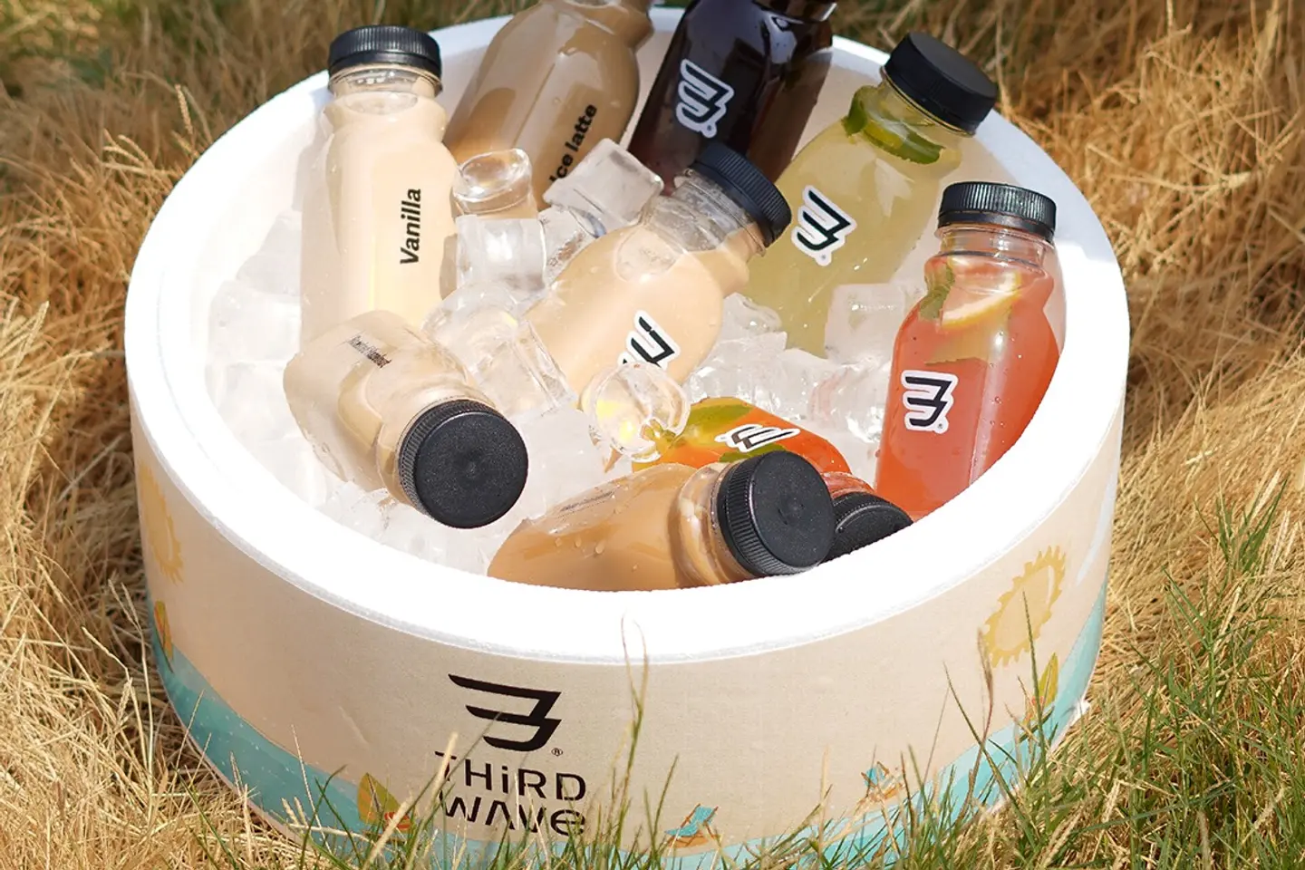 Cold Coffee Box   13 Bottles