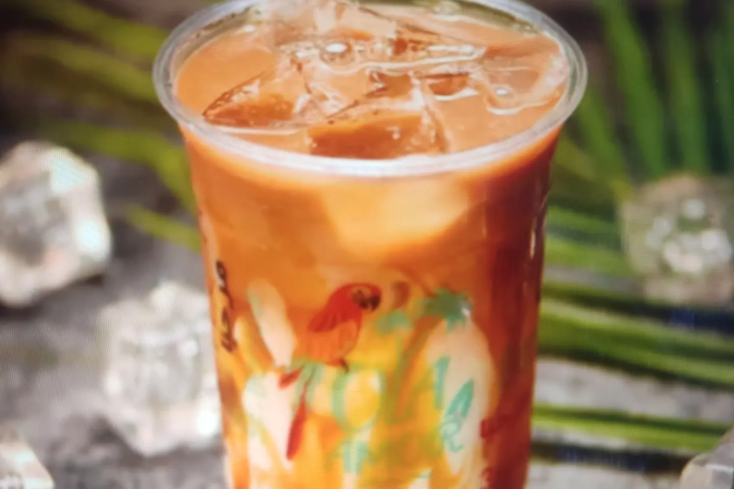 Caramel Macchiato