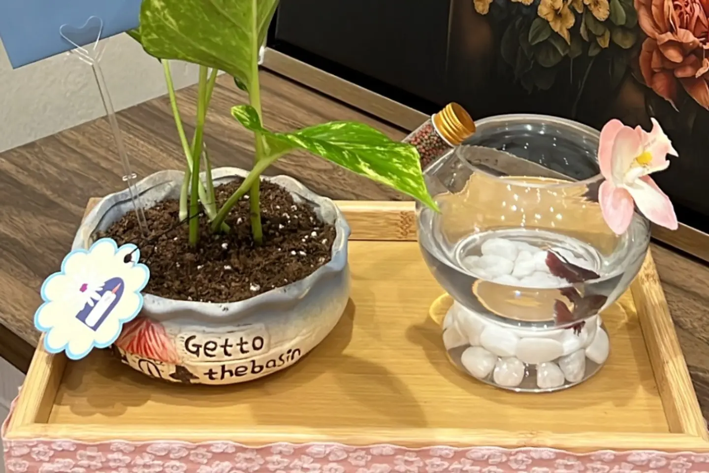 سمك مع نبات