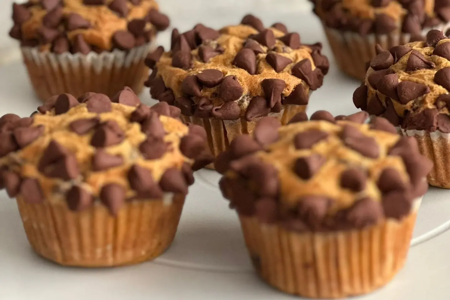 Pumpkin Chocolate Muffin