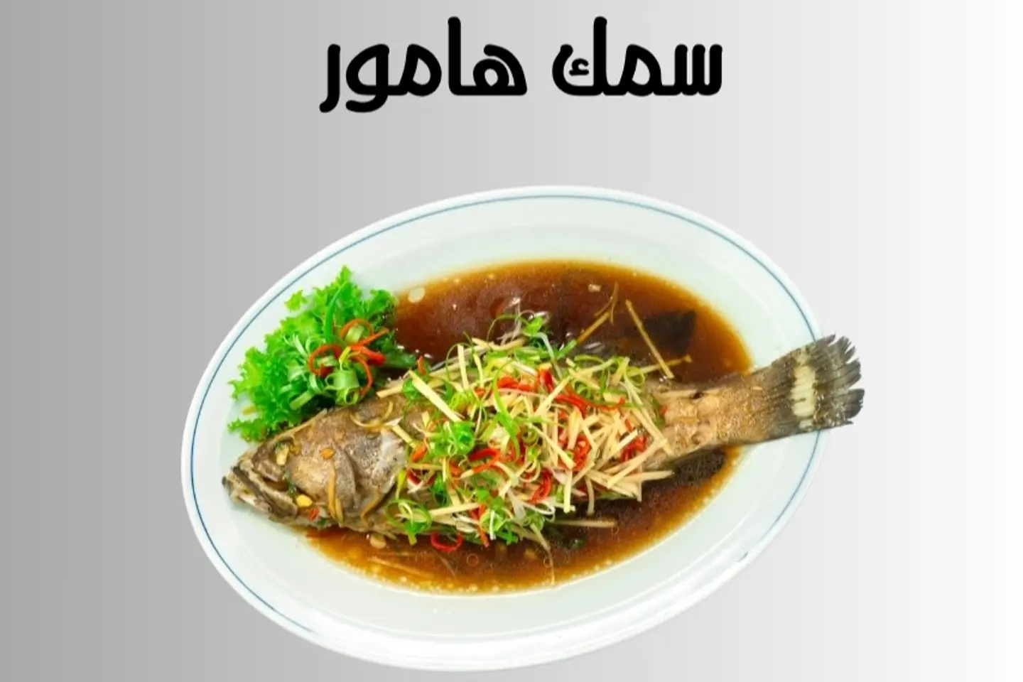 سمك هامور