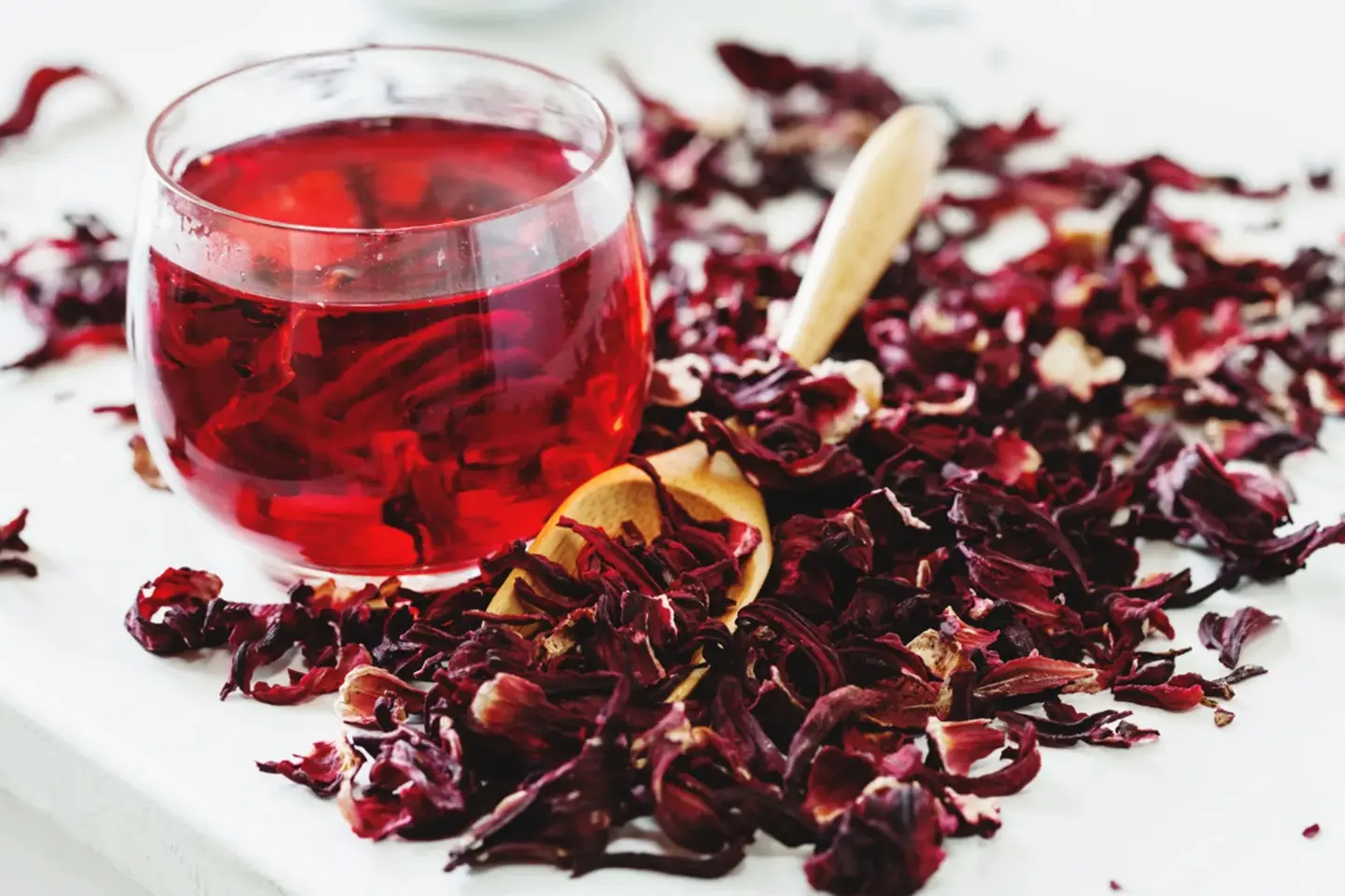 Hibiscus Tea Cup