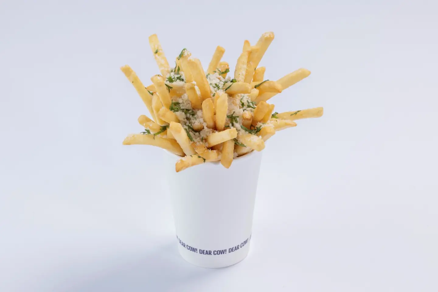 Parmesan Truffle Fries