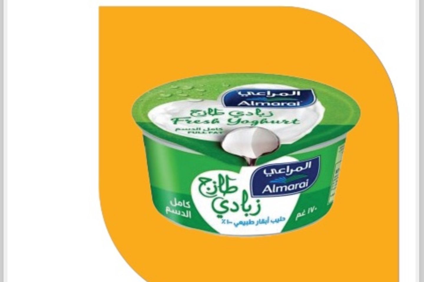 علبة زبادي