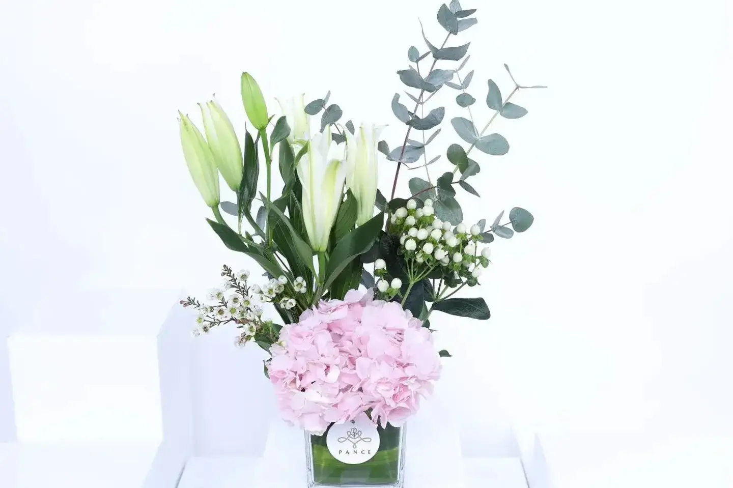 فرح ١٣