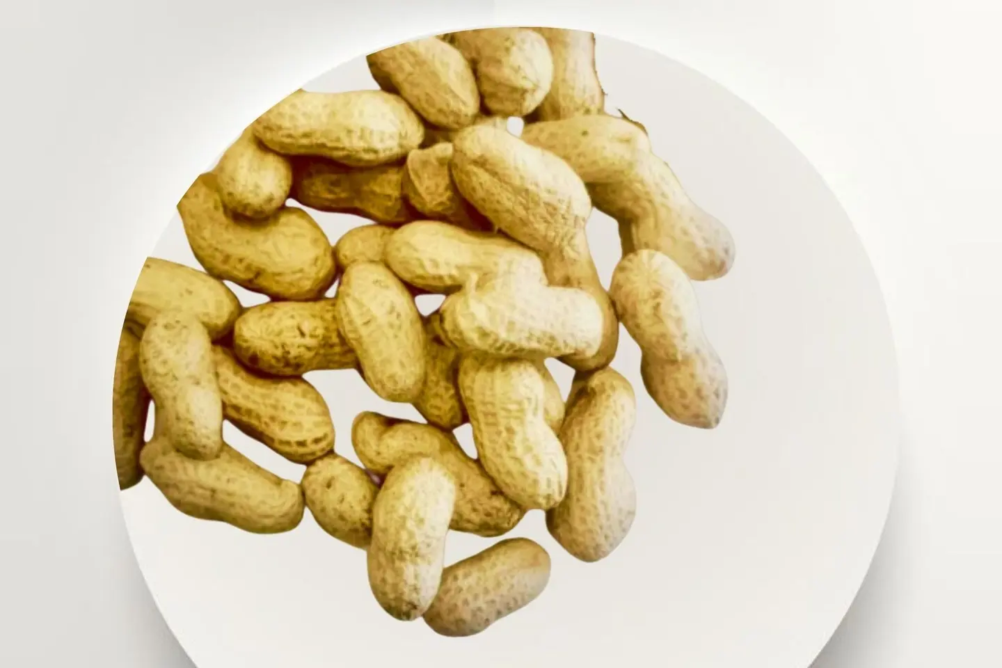فول سوداني بالقشر ٥٠٠غ