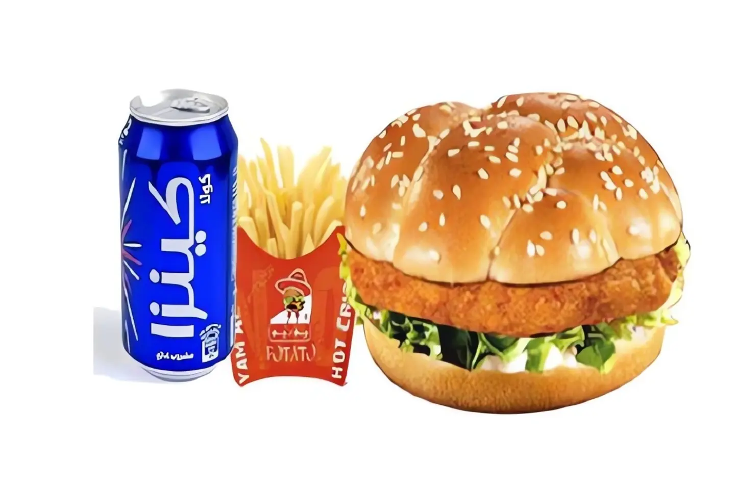 Fried Chicken Burger Meal