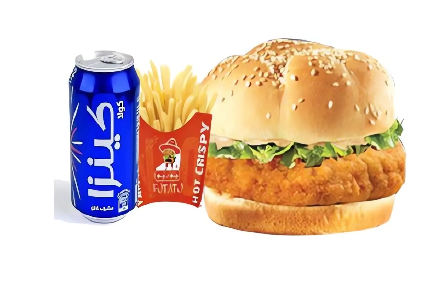 Fried Fish Burger Meal