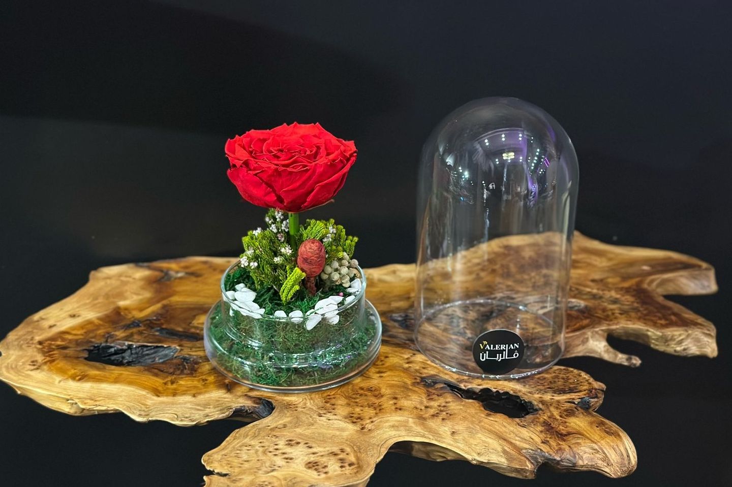 Damask Rose Forever