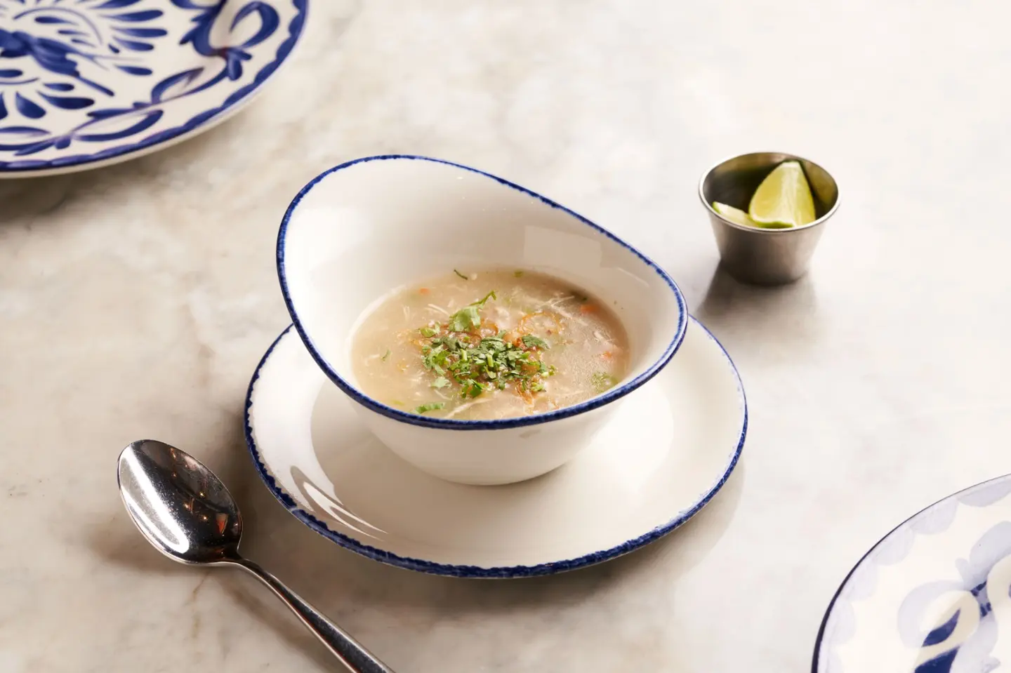 Chicken Soup