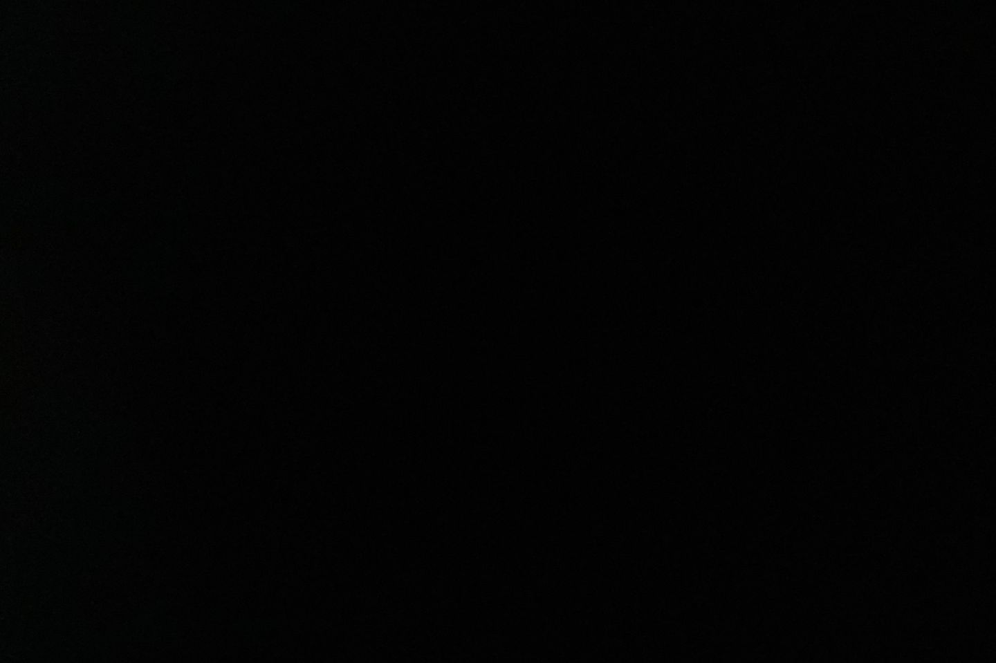 عش البلبل