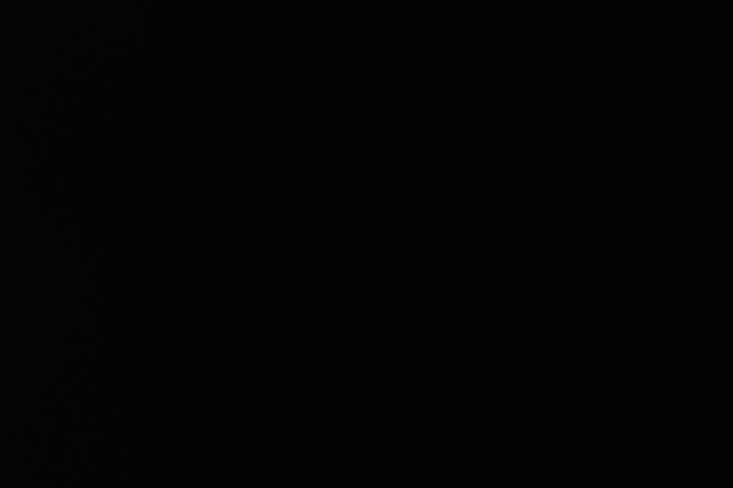 فطائر فلافل