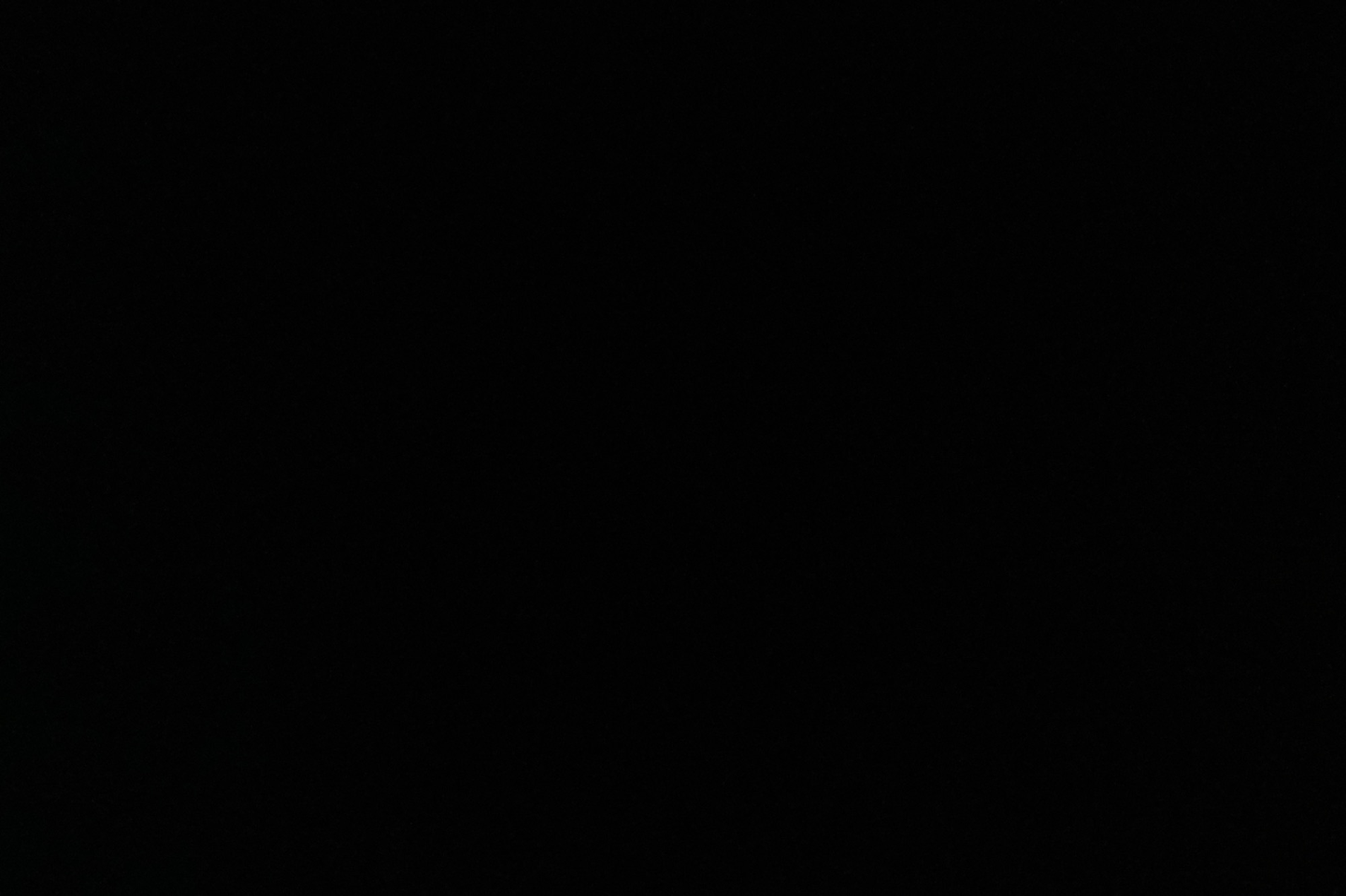 برجر دجاج