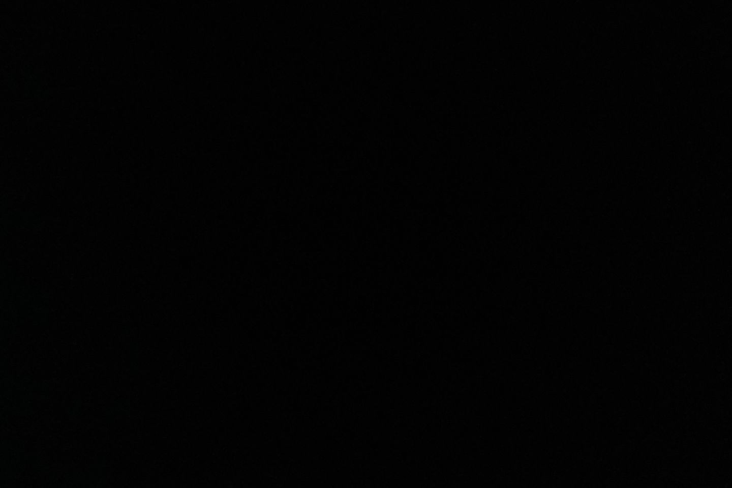 برجر دجاج