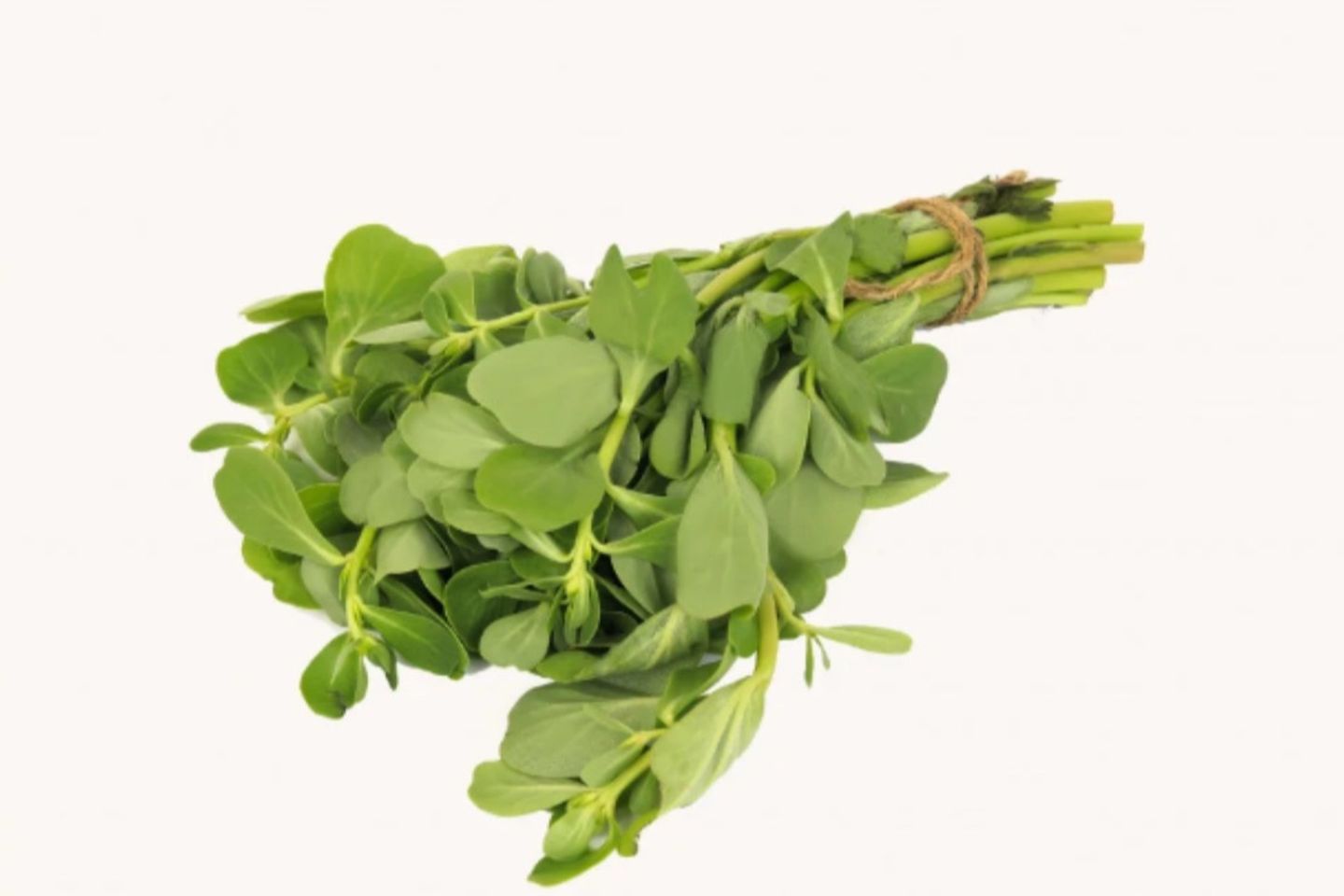 رجلة