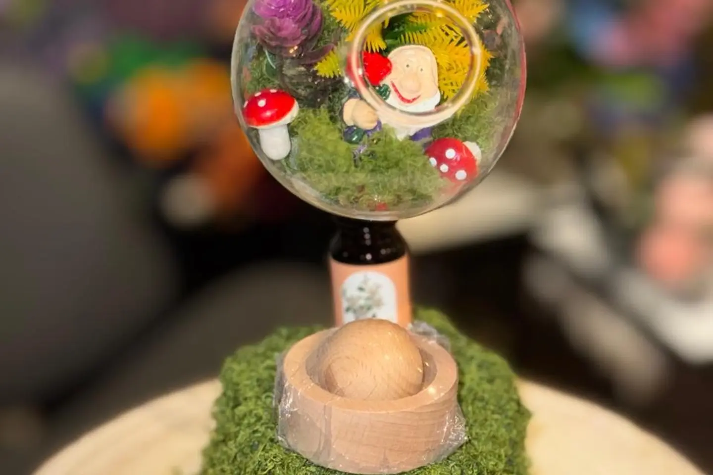 حديقة التيراريوم المعلقة مع فواحة خشبية