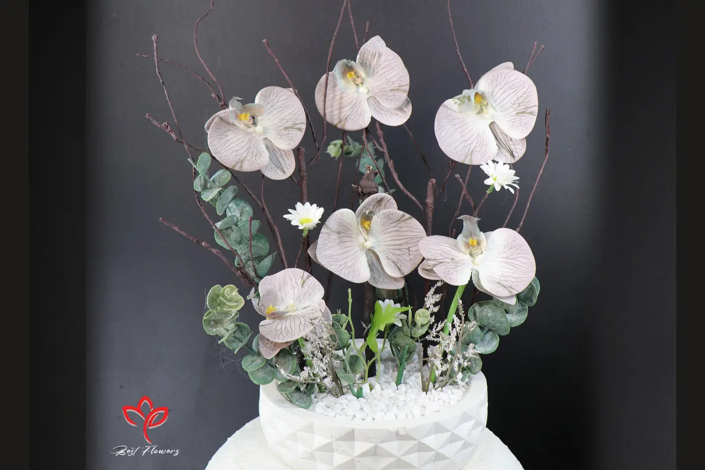 فازة المنزل