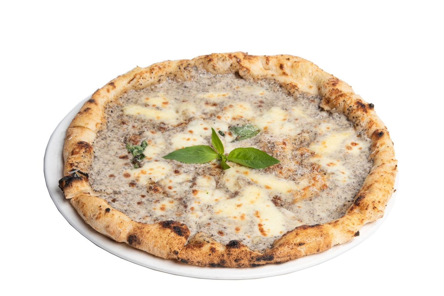 Truffle Pizza