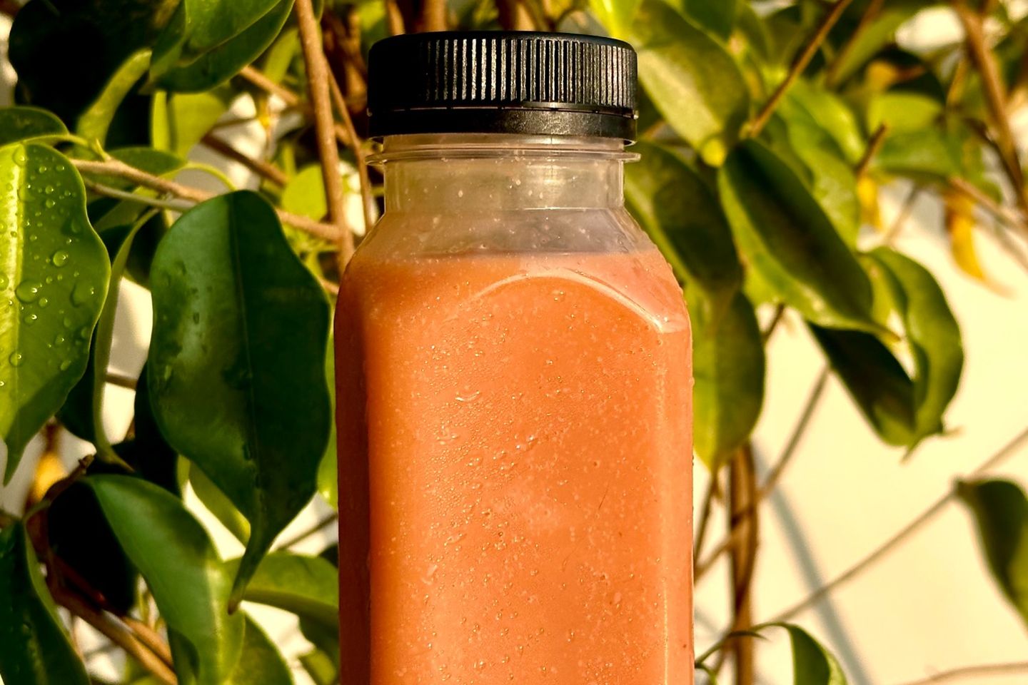 Cocktail Juice