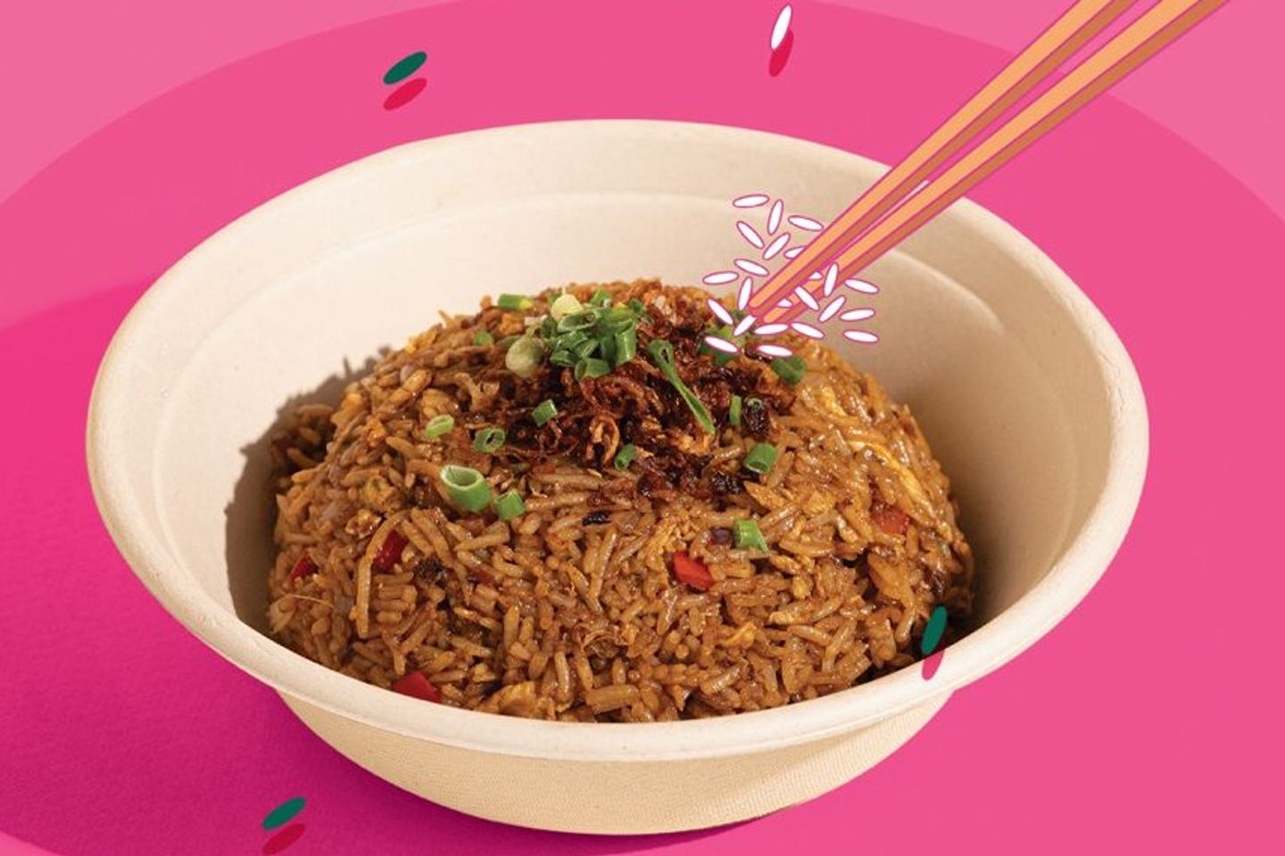 Chinese Fried Rice - Chinese Fried Rice