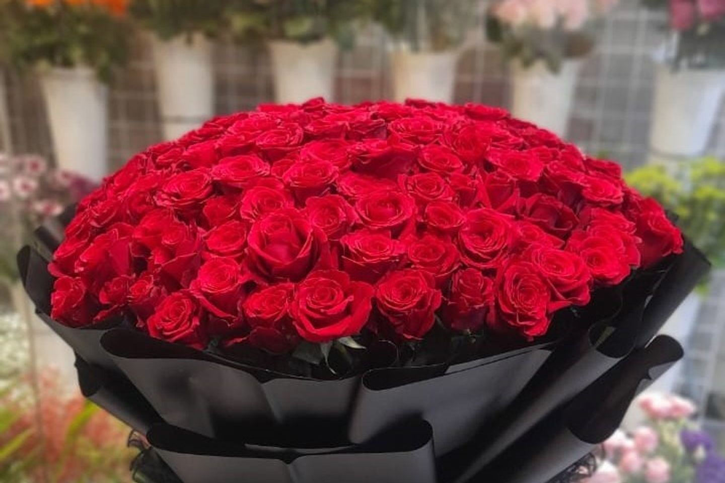باقة المشاعر