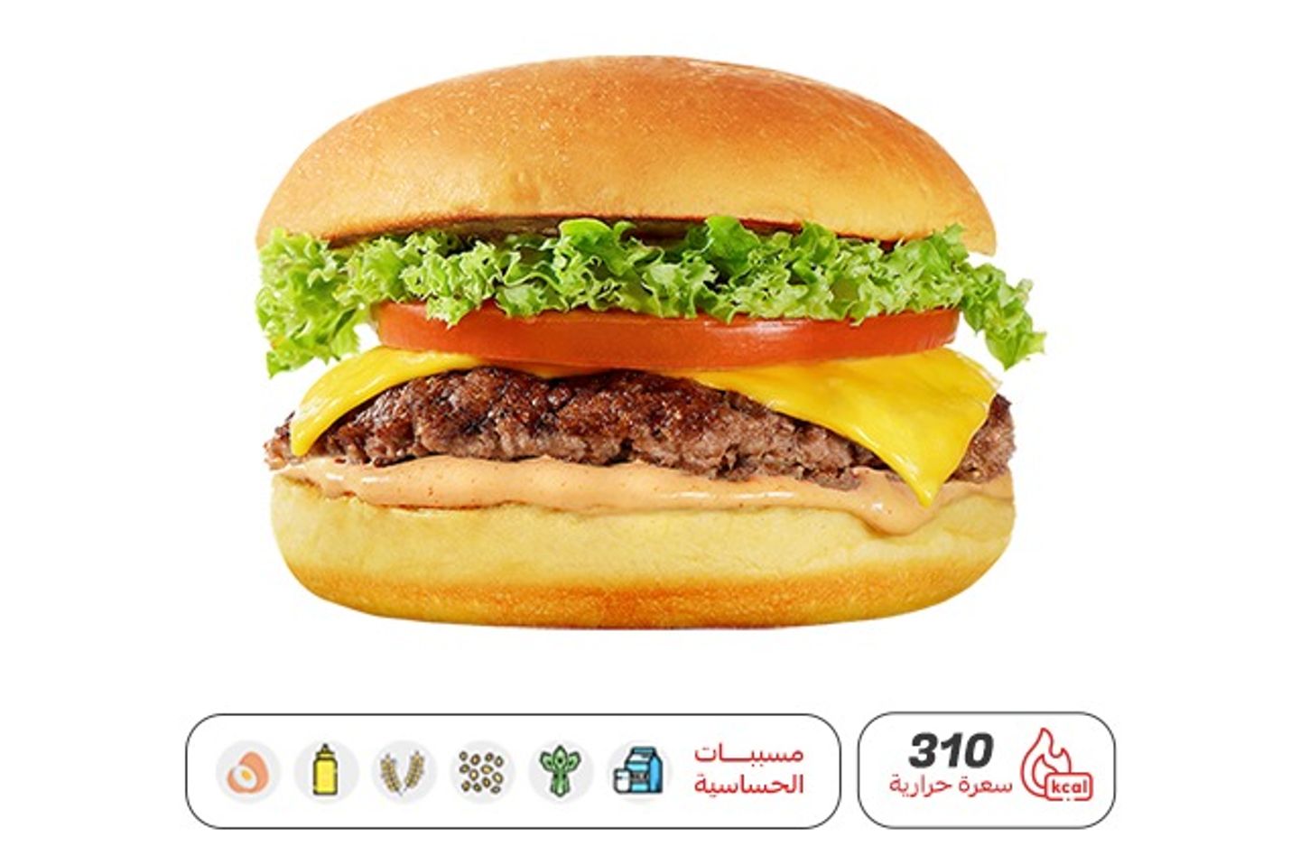 Hungry Single
