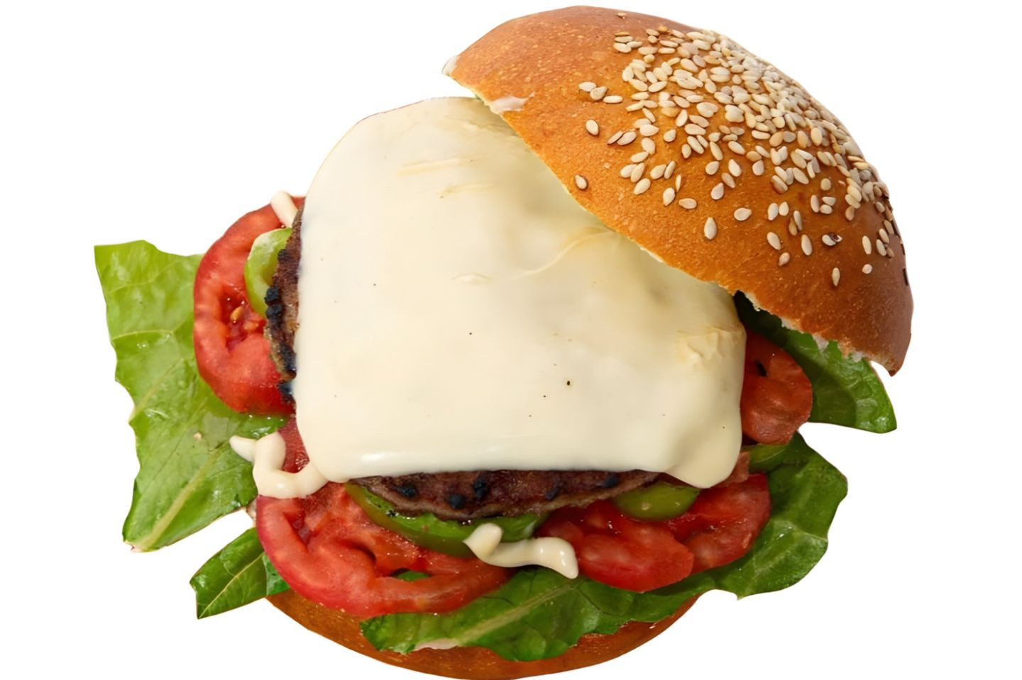 Beef Burger Sandwich