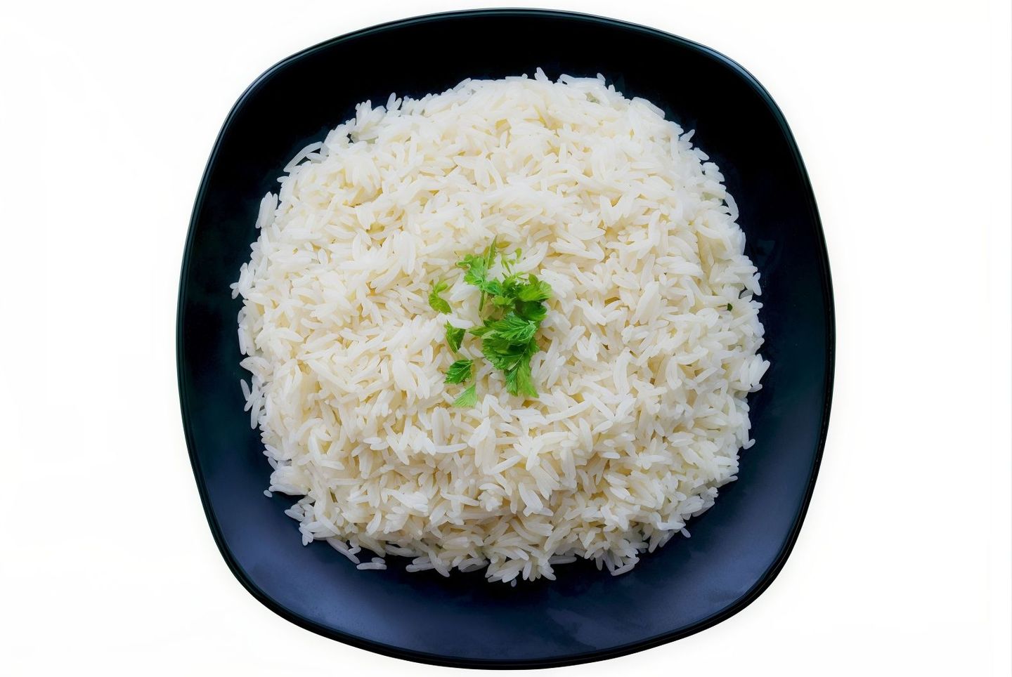 نفر رز سادة