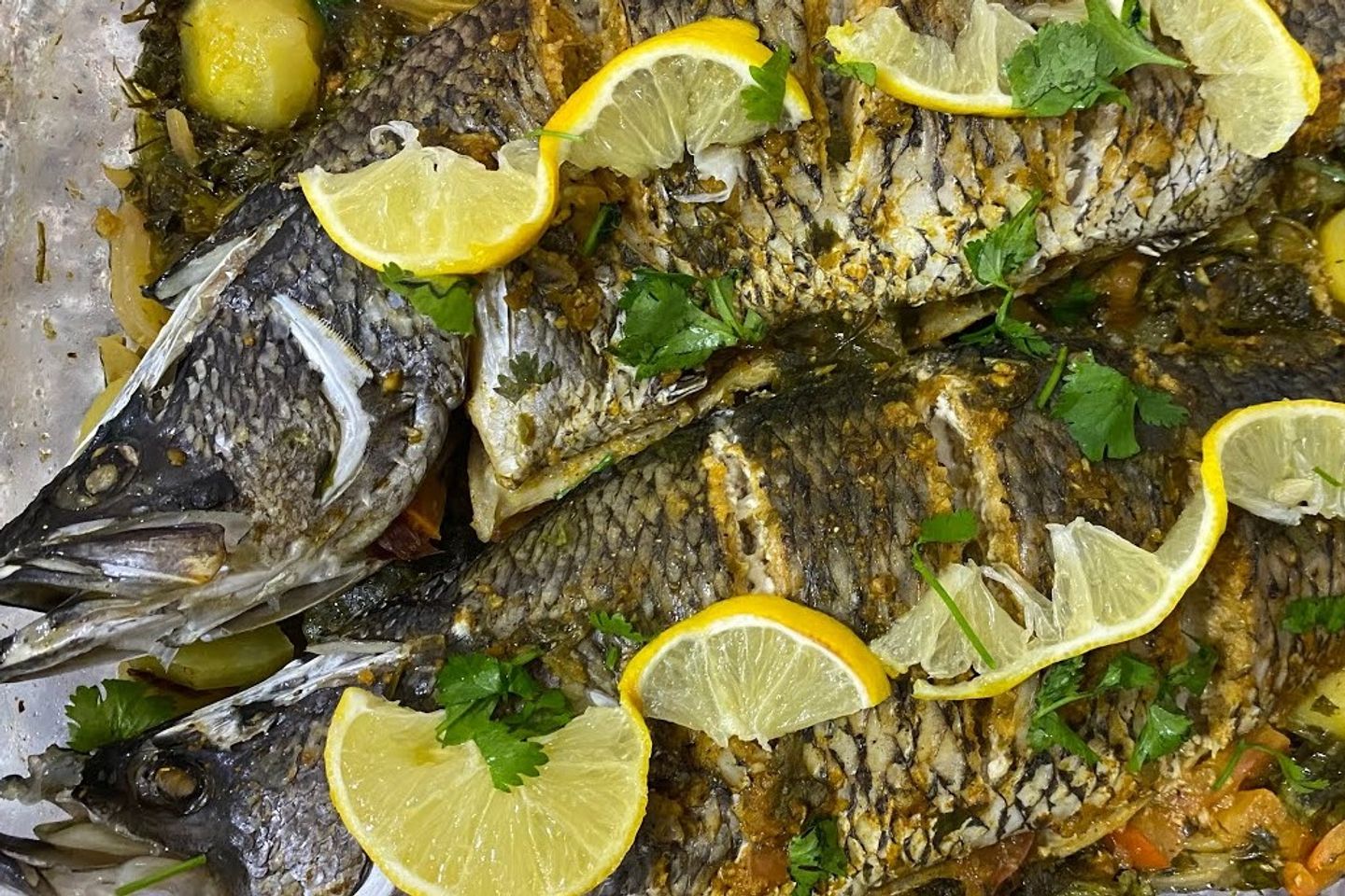 سمك قاروص