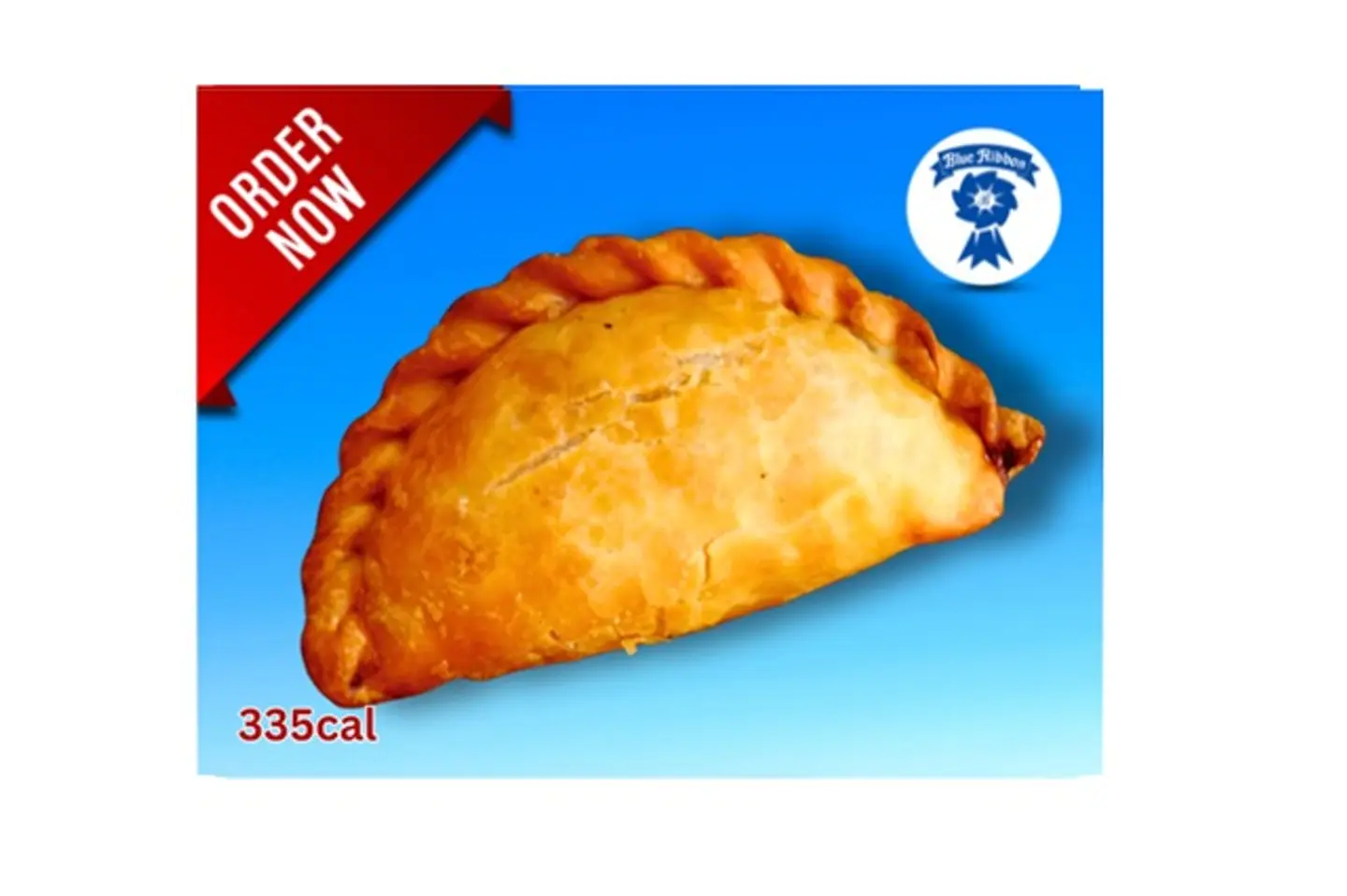 Chicken Empanada
