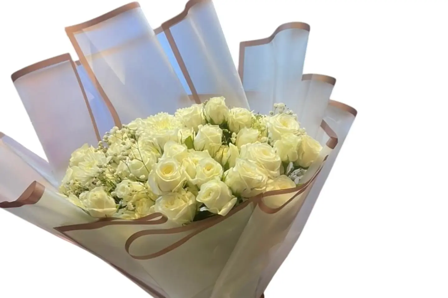 Jury With Baby Gouri 20 Pieces