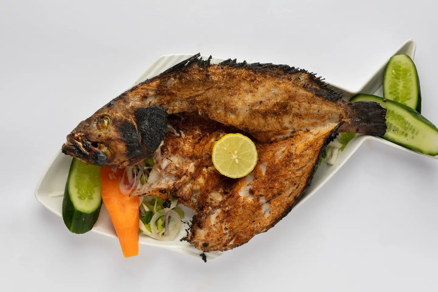 Hamour Fish
