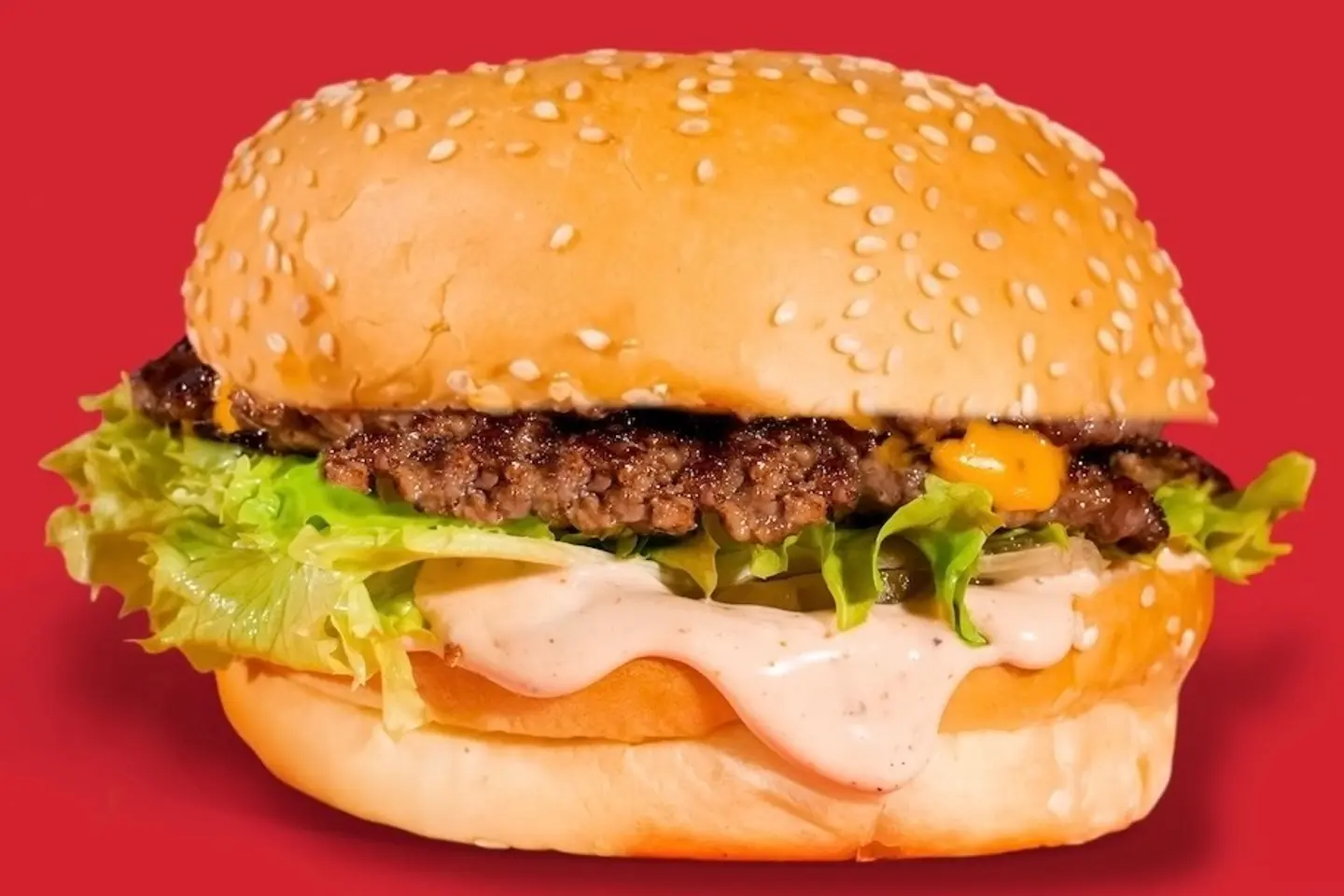 Single Cheeseburger