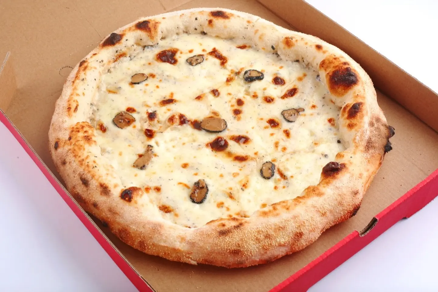 بيتزا ترافل