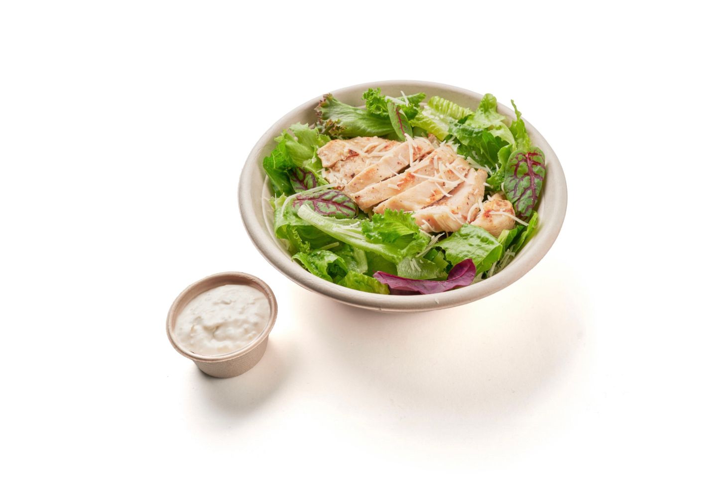 Chicken Caesar Salad